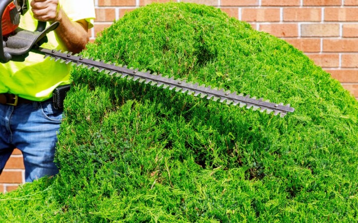 Jardinage Casablanca